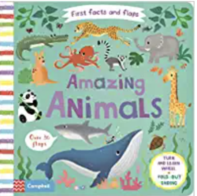 Amazing Animals (First Facts and Flaps)-Purchase